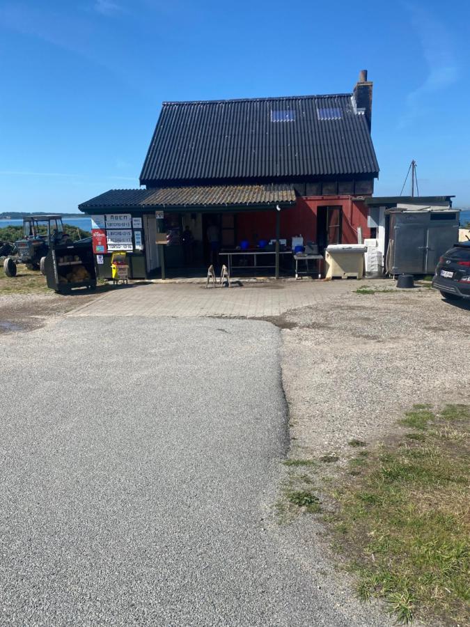 Nyhus, Dragsmur, Mols Knebel エクステリア 写真