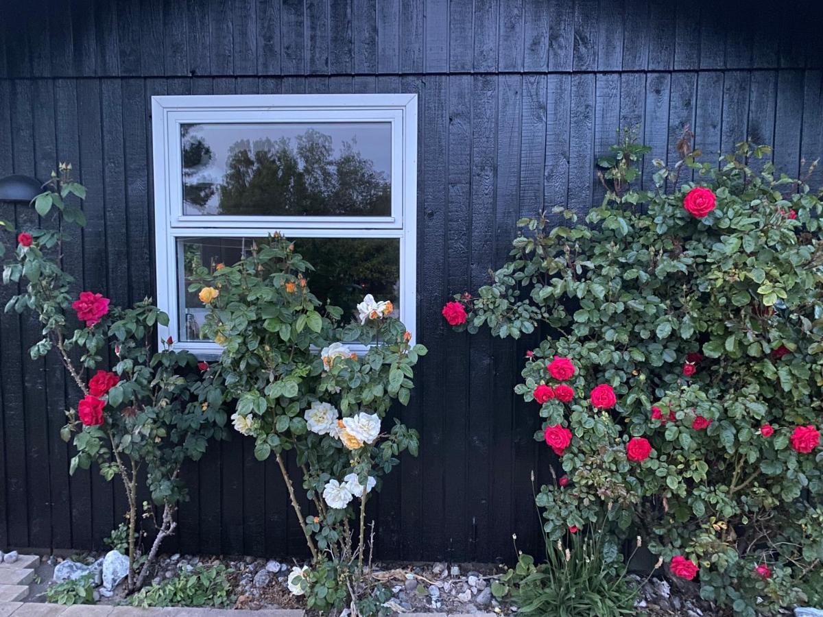 Nyhus, Dragsmur, Mols Knebel エクステリア 写真